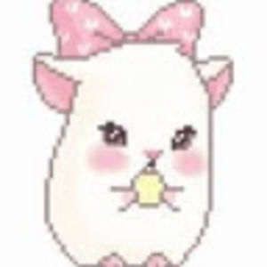 Meet your Posher, Bernadette